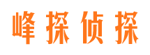 东川市调查公司